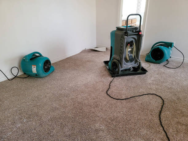 SERVPRO Trusted Restoration for San Marcos, New Braunfels, and More